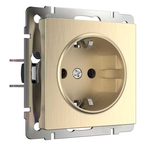 Электрическая розетка Werkel a035620 в Аксон