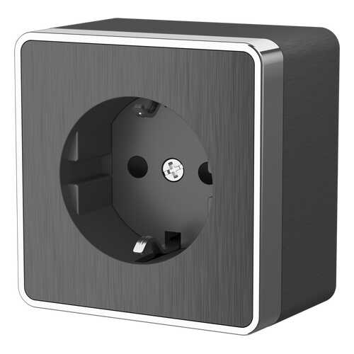 Электрическая розетка Werkel a041397 в Аксон