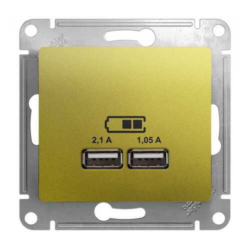 SE Glossa Фисташковая Розетка USB 5В/2100мА, 2х5В/1050мА (GSL001033) в Аксон