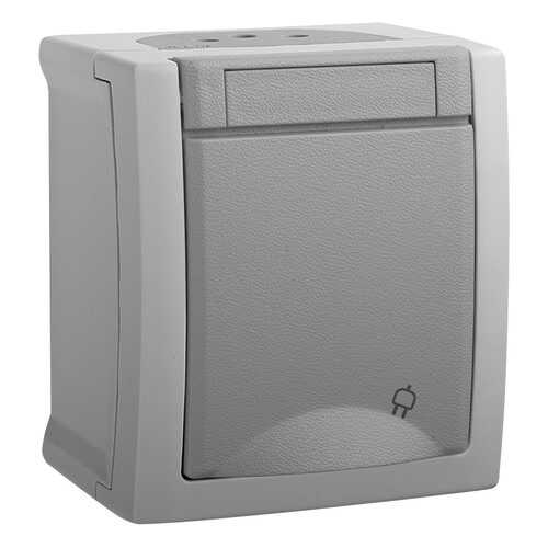 Сетевая розетка Panasonic WPTC4212-2GR-RES в Аксон