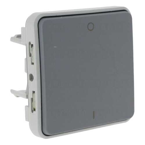Выключатель 1-клавишный СП Legrand Plexo, двухполюсной, IP55, серый в Аксон