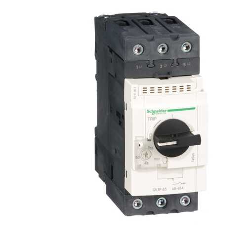 Автоматический выключатель Schneider Electric 65А GV3P65 в Аксон