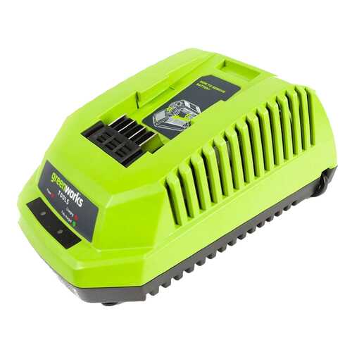 Зарядное устройство Greenworks G40C 2904607 в Аксон