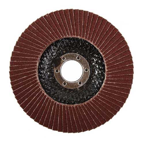 Диск лепестковый для угловых шлифмашин Hammer Flex 213-004 (29434) в Аксон