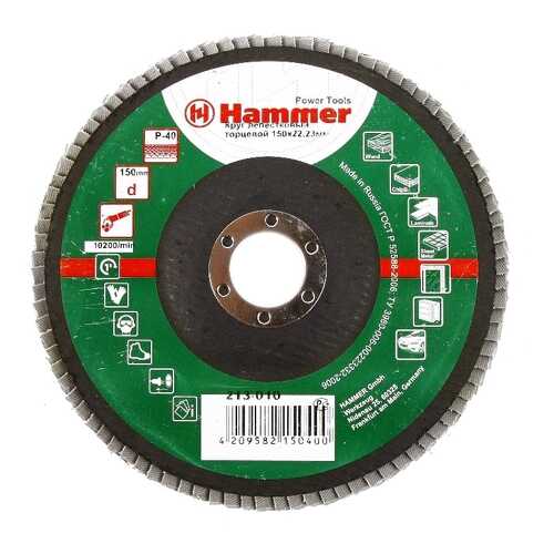 Диск лепестковый для угловых шлифмашин Hammer Flex 213-010 (29437) в Аксон