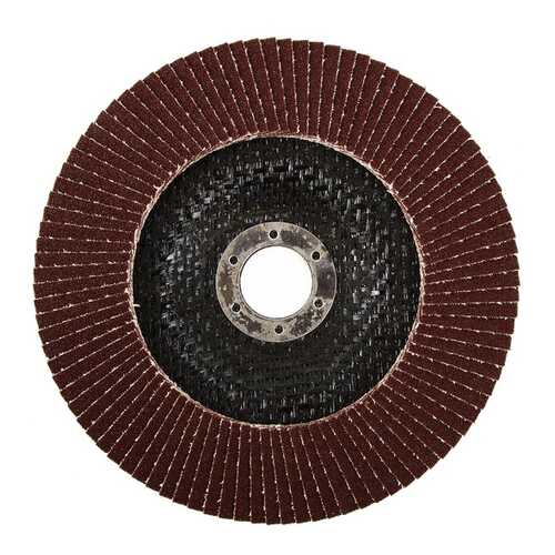 Диск лепестковый для угловых шлифмашин Hammer Flex 213-012 (29439) в Аксон