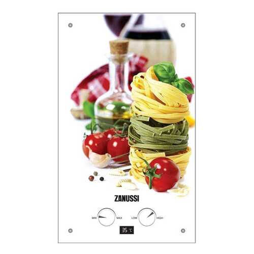 Газовая колонка Zanussi GWH 10 Fonte Glass La Spezia multicolor в Аксон