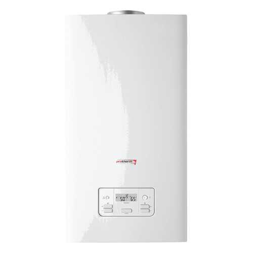 Газовый отопительный котел Protherm Panther 25 КТО в Аксон