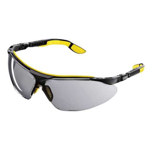 Защитные очки Karcher затемненные 6.025-483.0 в Аксон