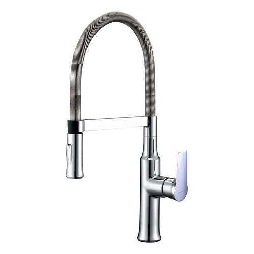 Смеситель для кухонной мойки Clever 98764 в Аксон
