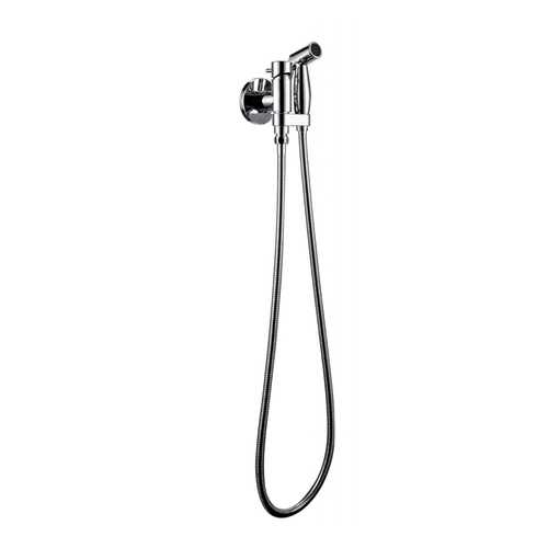 Смеситель с гигиеническим душем BRAVAT D9137CP-RUS в Аксон