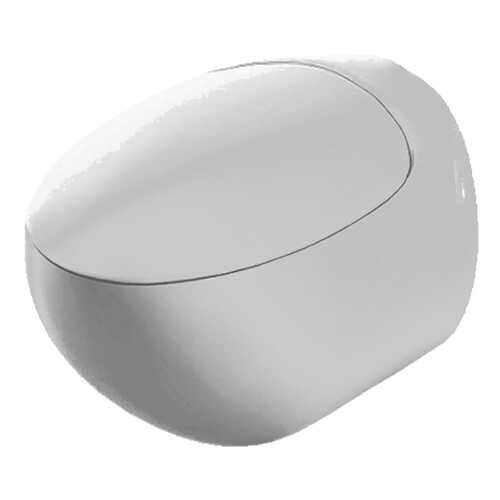 Подвесной унитаз Sanita Luxe RINGO RNGSLWH0104 белый в Аксон