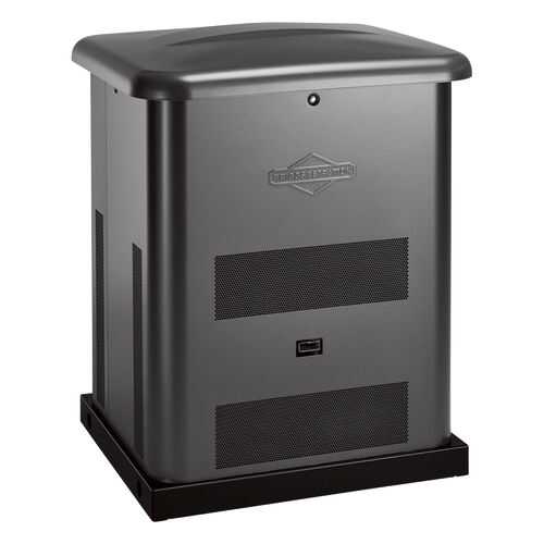 Генератор газовый Briggs & Stratton 040495 в Аксон