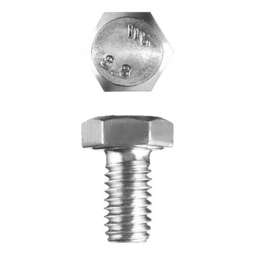 Болт Зубр 303080-06-010 M6x10мм, 5кг в Аксон