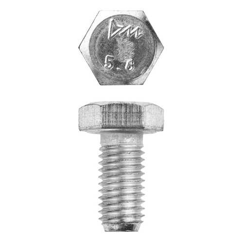 Болт Зубр 303080-12-020 M12x20мм, 5кг в Аксон